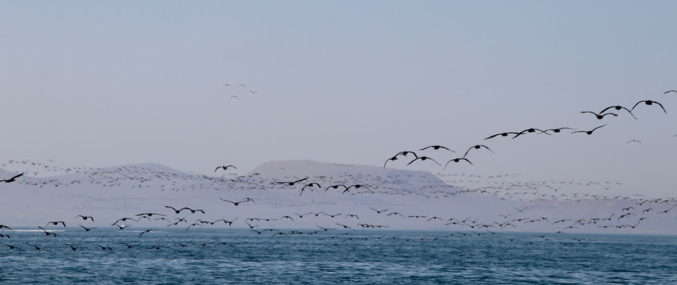 IMG_7777_edited.jpg