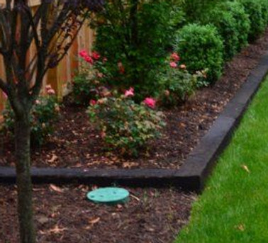 Gardening Site - Gardening Tips for the Gardener___.jfif