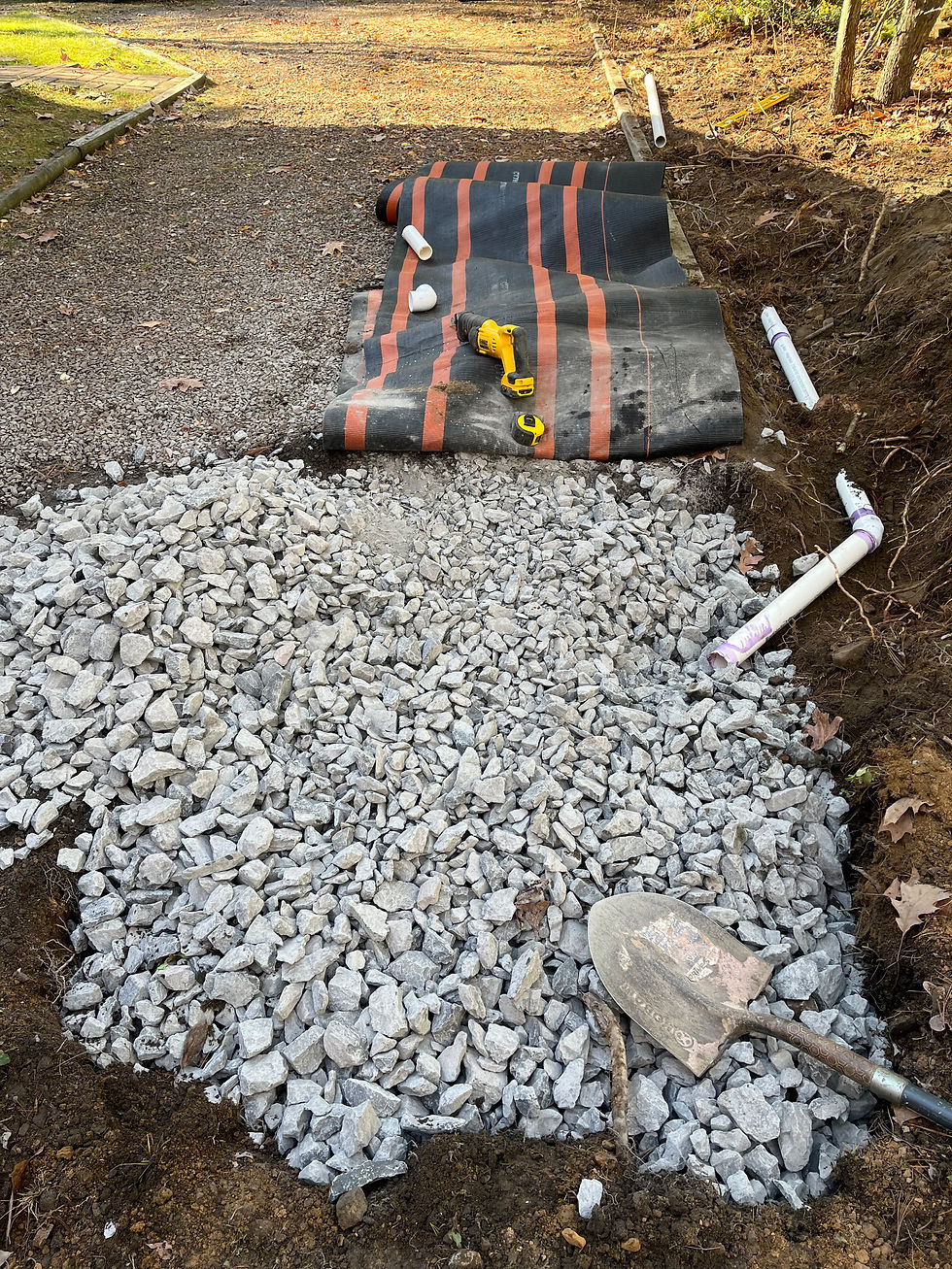 Well house drain and dry well