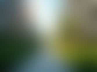 Top Platforms for Affordable Housing Online: Navigating Online Housing Platforms with Confidence