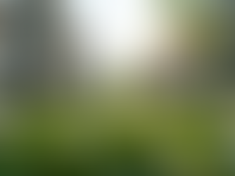 Daniel Kaufman Leads the Way in Sustainable Real Estate Development