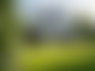 Strategies to Attract Property Buyers Quickly: Appealing to Property Buyers with Impact