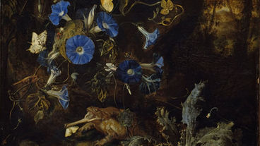 Aphantasia and the Invisible Image: An Inquiry into Imagination & Practical Exercises