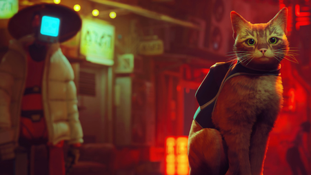 Review: Stray