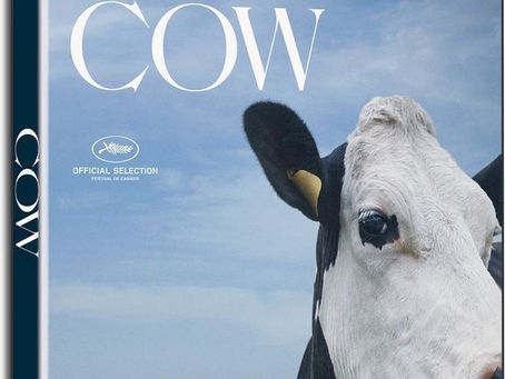 DVD Review: Cow