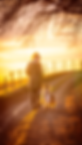 chien-education-positive-lyon-comportementaliste.png