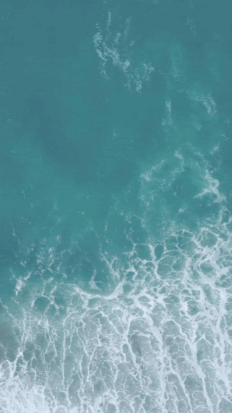 4ocean campaign (1).gif