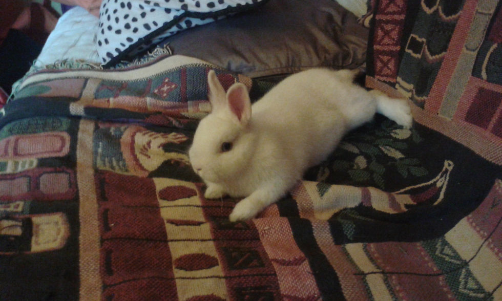 20150208_103321.jpg