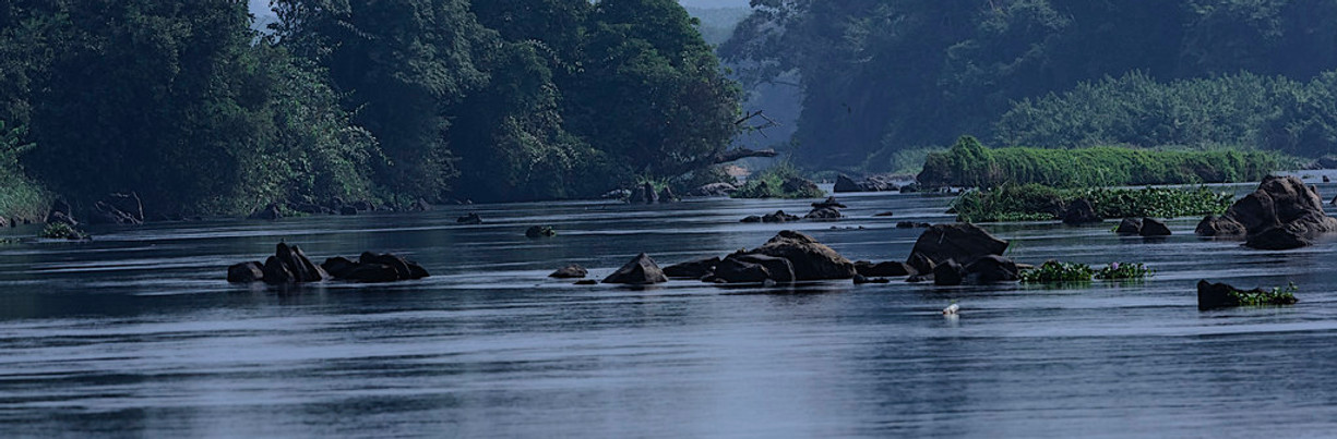 Bandama River.jpeg