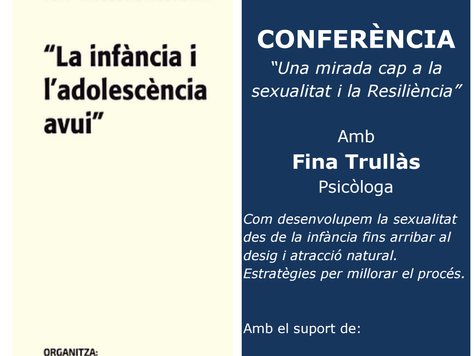 Conferència