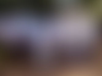 Sarepta's Mobile clinic in Haiti