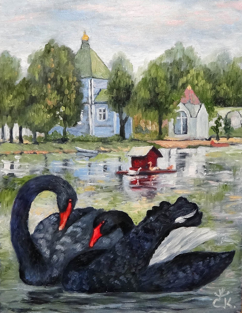Черный лебедь