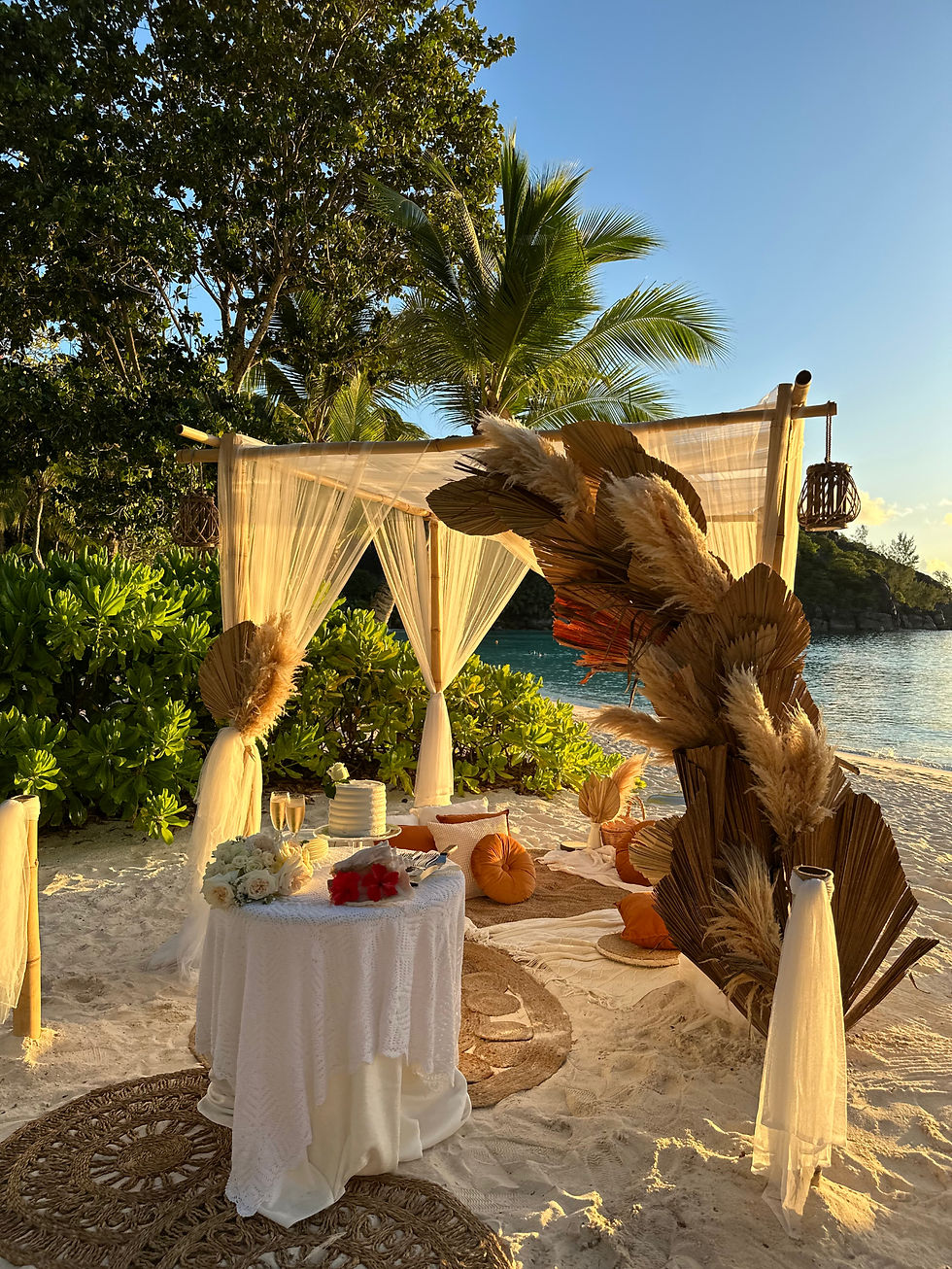 Beach wedding setup at sunset with a white table, cake, flowers, and a draped arch. Palm trees and ocean in the background create a serene mood.