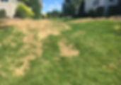 IMG_1398.jpeg