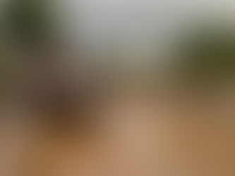 น้ำท่วมฉับพลันและน้ำป่าไหลหลากในพื้นที่ อำเภอแม่สะเรียง