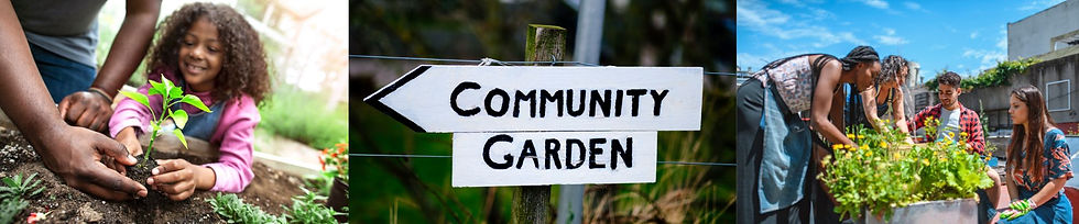 Local Community Work Youth Activities | Community Garden