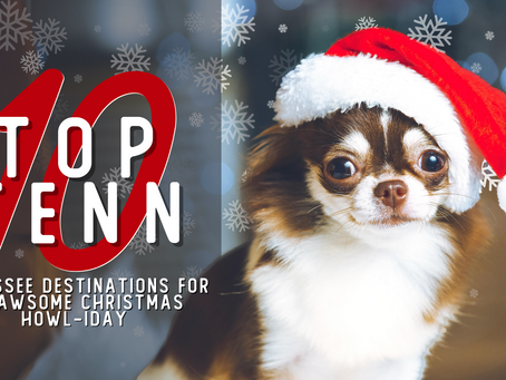 Top 10 Tennessee Destinations for a Pawsome Christmas Howl-iday