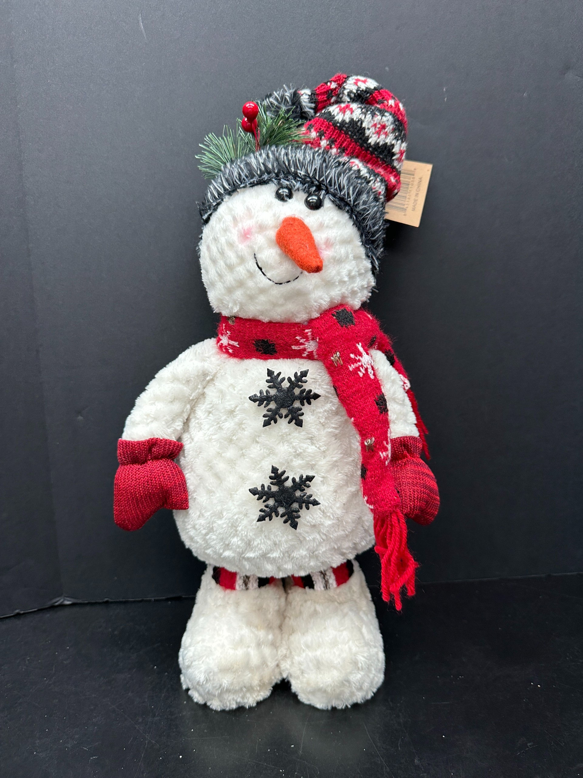 Oak Street- Sky the Snowman