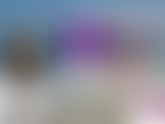 Canal TVi previsão do tempo 31, 1 e 2 de novembro, eventos na cidade.