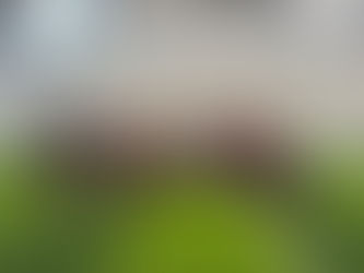 Canal TVi- Grêmio Academy promove confraternização neste sábado