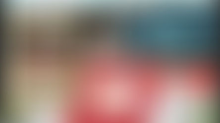 Canal TVi Plantão de notícias: Fragmentos: Barco Funelli/Carnaval em Maricá/Denúncia: filho de Popó.