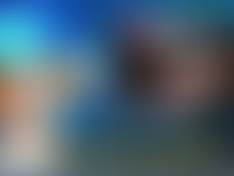 Canal TVi Animal: ao encontrar um filhote na rua, o que fazer?