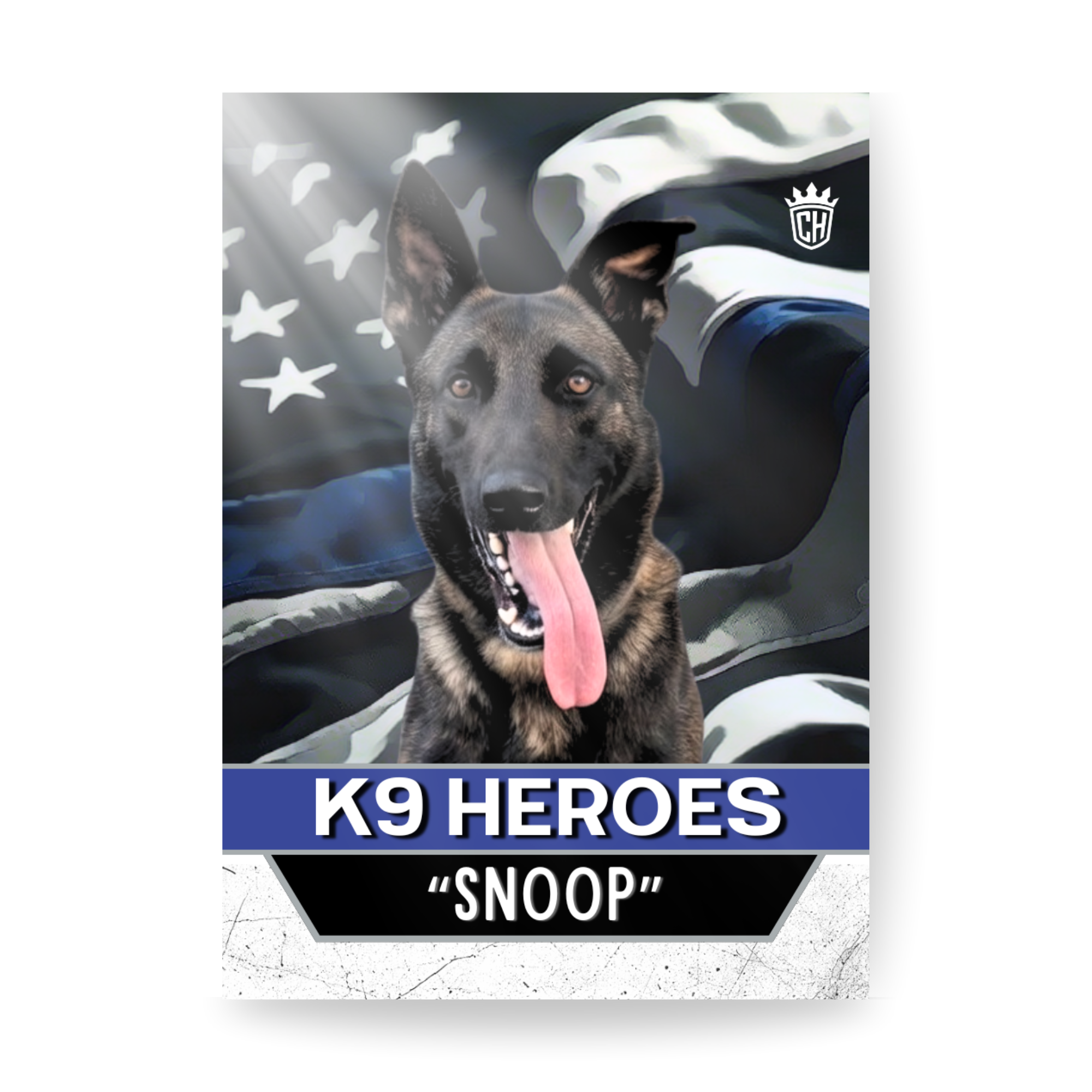 K9 Heroes