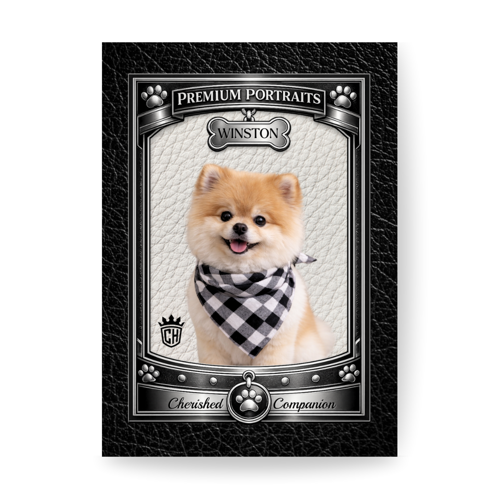 Premium Pet Portraits