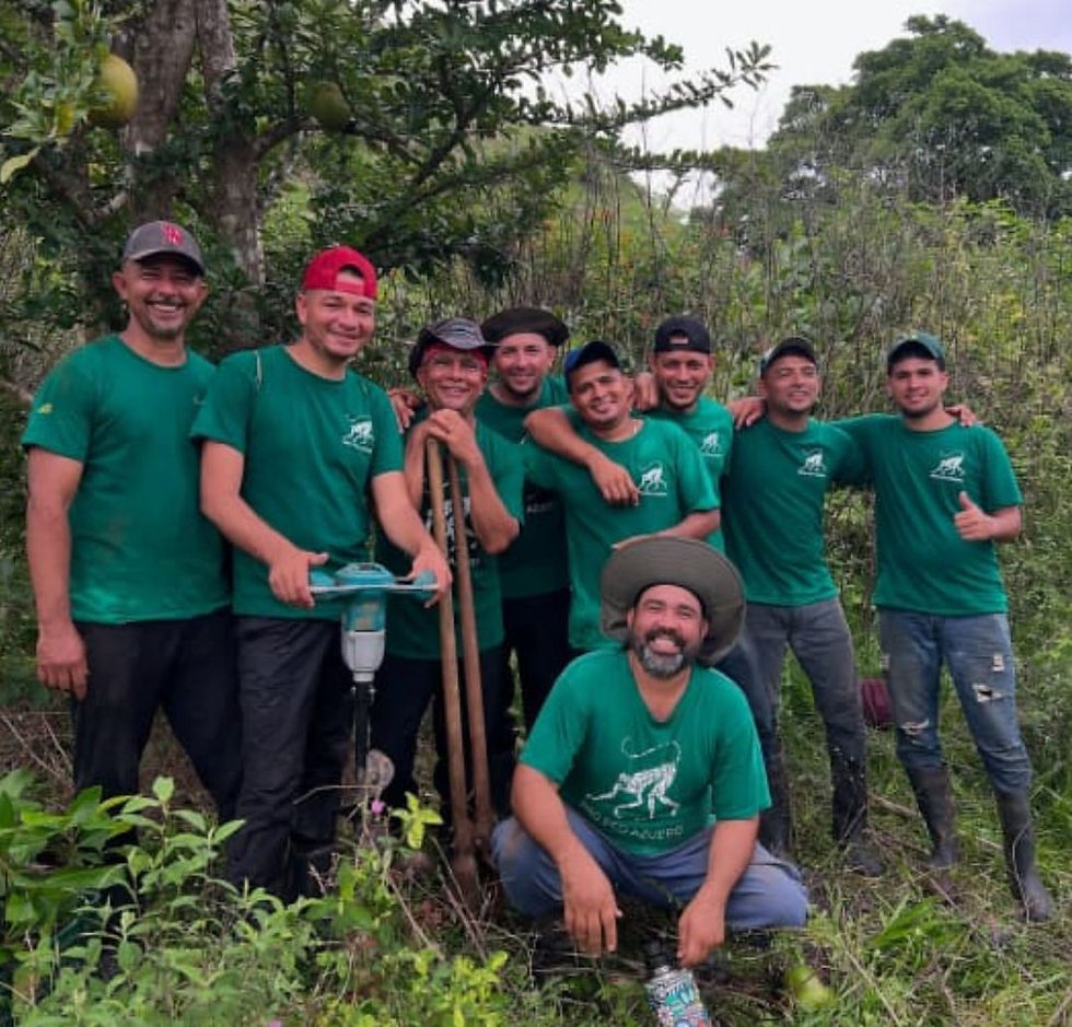 Behind the Scenes of Planting 63,000 Trees in Azuero