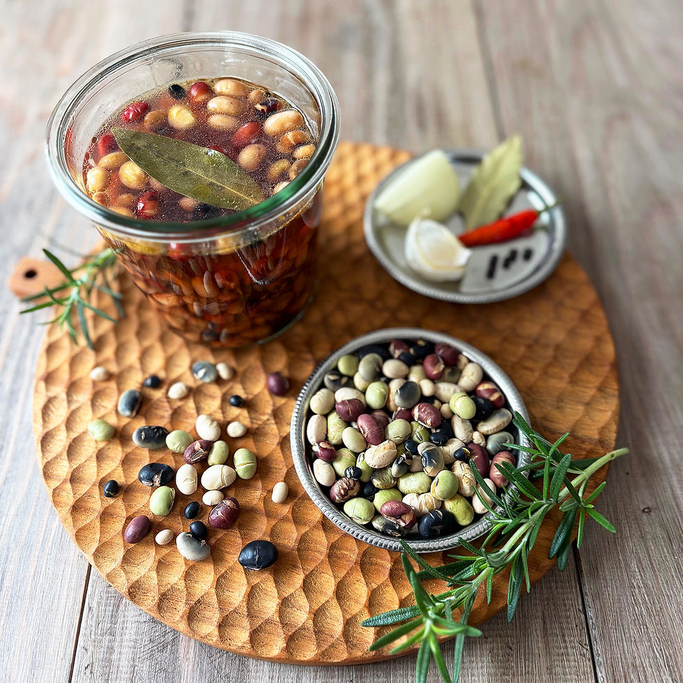  豆の教室2026年4月夏の豆料理