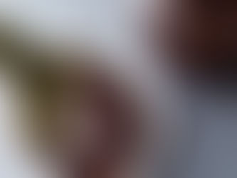 【終了/満席御礼♪】12/16かもしラボ『旅する調味料講座』12月《韓国編》キムチだれ・万能韓国ジャン