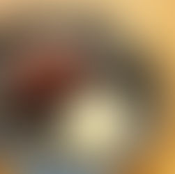 【終了】1/28(水) 《低糖質・グルテンフリー料理教室》チョコレートケーキ2種とキッシュ2種