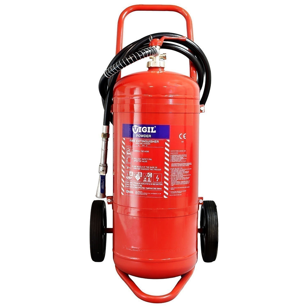 50kg powder.jpg