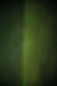 240924_358_e.jpg