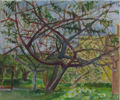 trees.jpg