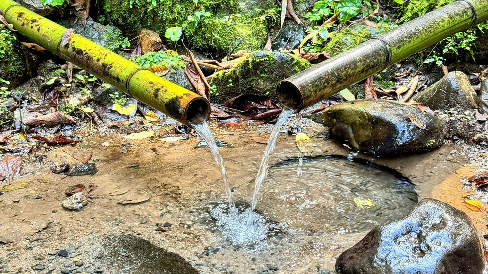 弊縦神宮立神宮