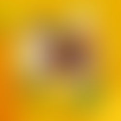 Procuram-se Estagiários com 10 anos de Experiência