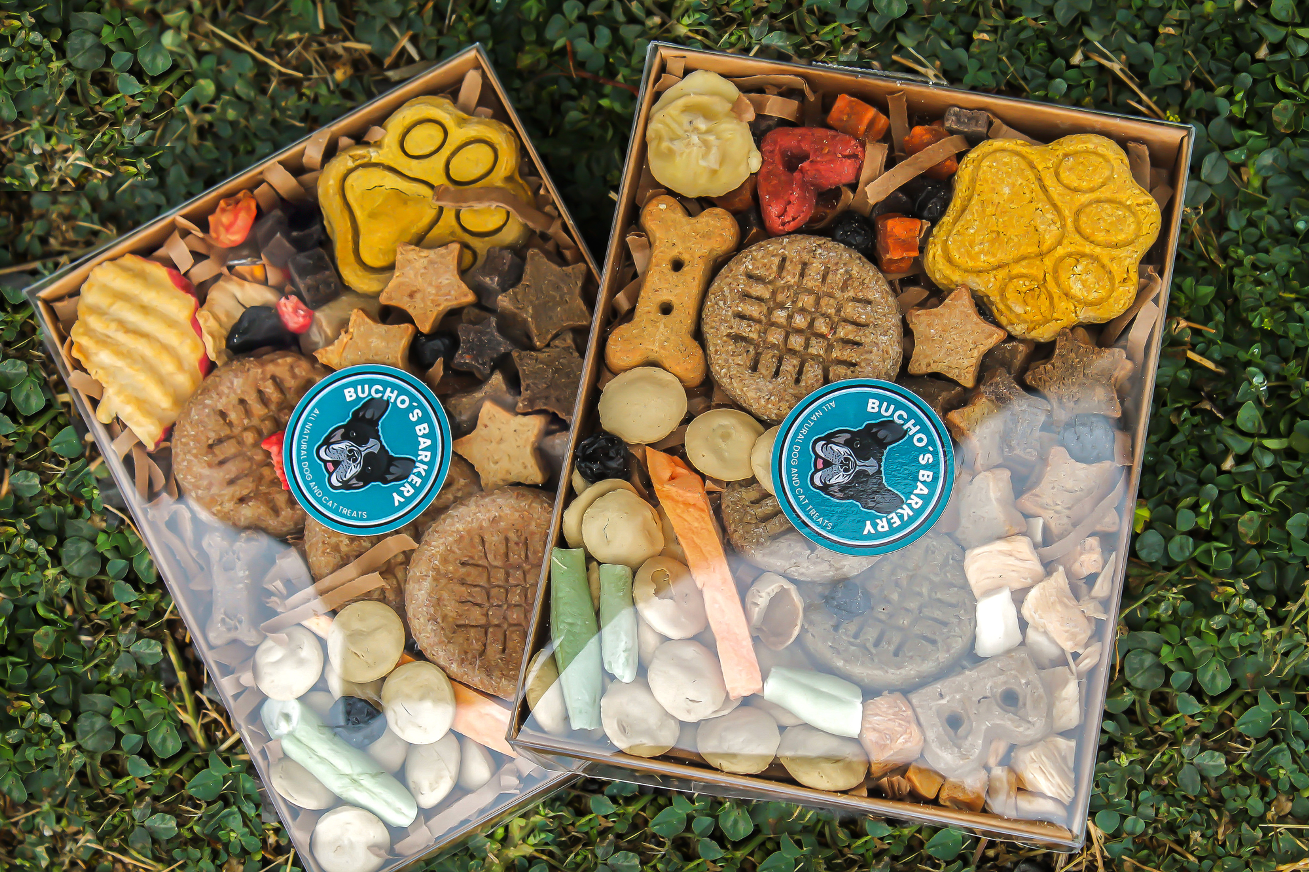 Barkuterie Box