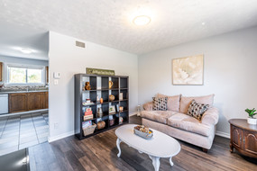 Living Room Renovation