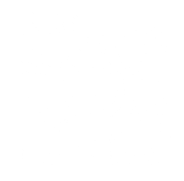 alirisw.png