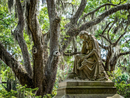 Stone Gardens