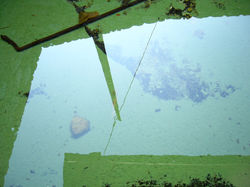 Green Water