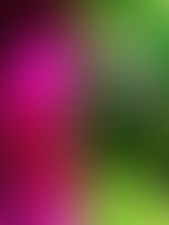 WONDER FULL FEST • 23.04.-26.04.2026 • OPEN CALL • DEADLINE 21.03.2026 • AT HAUS DER STATISTIK