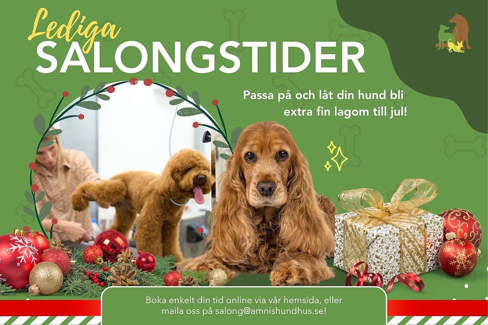 Lediga salongstider Jul - SoMe (30 x 20 cm)