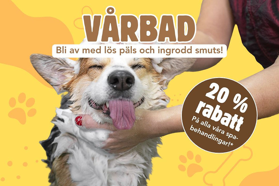 Njurundabladet mars (1080 x 720 px)