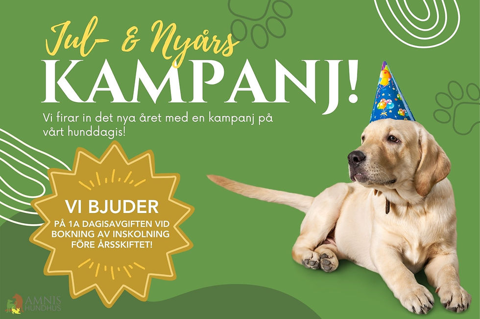 Kopia av Bollnäs dagiskampanj - SoMe (1350 x 1080 px)