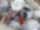 274031992_493178845520625_27815942012320611_n.jpg