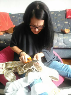 IMG-548143205e674fd3775ab00d52914e0c-V
