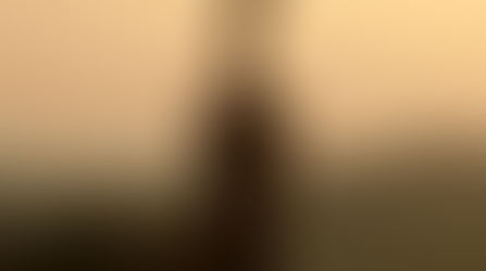 ¿CRISTIANO O RELIGIOSO?