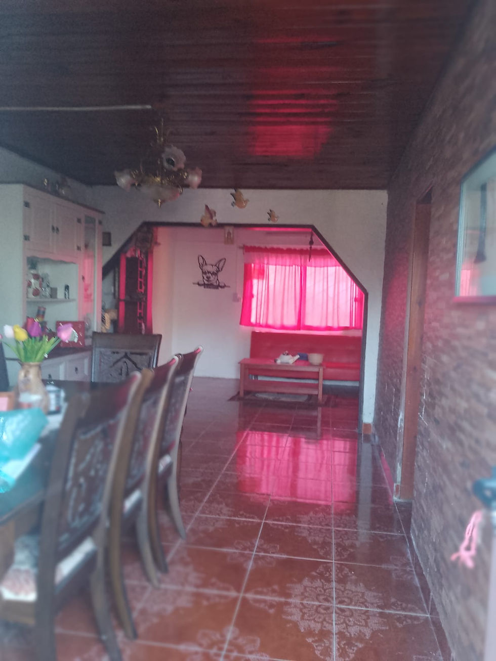 Imagen de WhatsApp 2025-11-13 a las 12.04.31_60113ac2